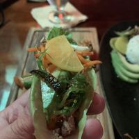 Jack Fruit Lettuce Wrap at Max's South Seas Hideaway in Grand Rapids