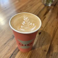 yummy latte   at Elixr Coffee Roasters in Philadelphia