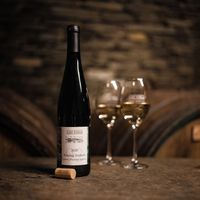   at Schwaab Albert Weingut Schwaab Edgar Gästezimmer in Erden