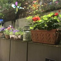 Kleine Oase im Hinterhof  at Zweibar in Essen