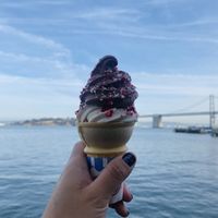 Vegan Vanilla + Chocolate with Crushed Peppermint   at Gott's Roadside - 1 Ferry Building in San Francisco