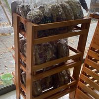   at Rincón Vegan in Chillan