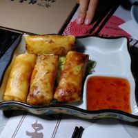 spring rolls (3€ for 2, 6€ for 4) at Ravioli Wang in Florence
