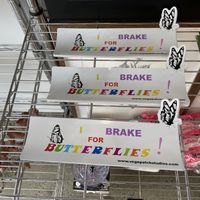 Merch at Vegepatch Studios in Palm Beach