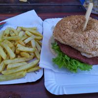 Vegan burger and fries 🍔🍟 at Bistro Hladovina in Plitvicka Jezera
