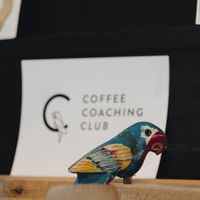 The Coffee Coaching Club parrot  at Coffee Coaching Club in Bern