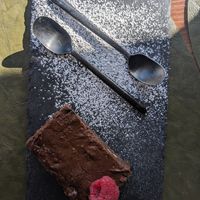 Brownie at Green Point in Aveiro