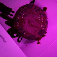 brownie cookie with caramel  at Heavenly Desserts in Watford