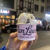 Vegan Mint Chocolate Chip Ice Cream  at Van Leeuwen Ice Cream - City Center in Philadelphia