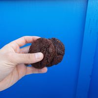 Vegan and gluten-free cookies at The Baked Bear in San Francisco