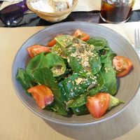 Green Salad with Tomatoes at Cocina Vegetariana Internacional in Madrid