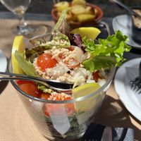   at Fangas Veg in Coimbra