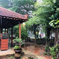 Outdoor garden view at Thien Tam in Hue