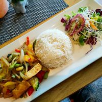 Chilli, garlic and basil stir-fry with tofu and steamed rice at Morans in Westward Ho