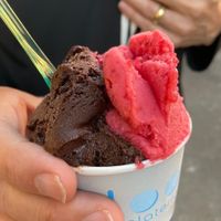 Chocolate and Raspberry- both vegan  at Loom Gelateria 1900 in Lausanne