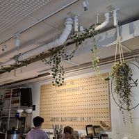  at Kaffeesaurus in Cologne