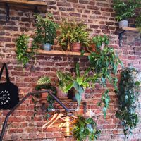 Plants 😊🌵🌱🌿 at Common Ground in North London