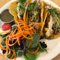 Tacos  at Sage's Cafe in Salt Lake City