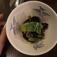   at Savage in Brussels