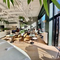 Interior  at Cadence in Copenhagen