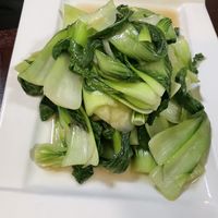 Bokchoy   at CoCo Lin Vegetarian House in Ridgewood