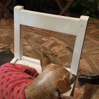   at El Almacén in Villa De Leyva