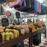   at DAC in Playa Del Carmen