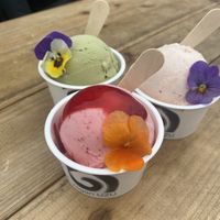 Pistachio green tea, grapefruit and rhubarb   at Vegan Ramen UZU Tokyo in Tokyo