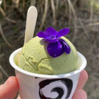 Pistachio green tea ice cream  at Vegan Ramen UZU Tokyo in Tokyo