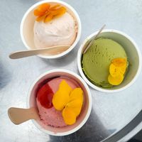 Matcha pistachio, pink rhubarb, tonka bean and grapefruit at Vegan Ramen UZU Tokyo in Tokyo