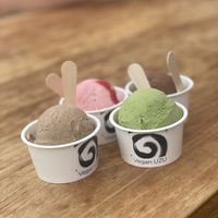 Vegan ice cream: chocolate, coffee, green tea pistachio and strawberry   at Vegan Ramen UZU Tokyo in Tokyo