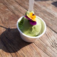 Pistacchio gelato at Vegan Ramen UZU Tokyo in Tokyo