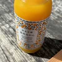 Nice orange juice but tiny!  at Vegan Ramen UZU Tokyo in Tokyo