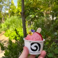 Strawberry ice cream   at Vegan Ramen UZU Tokyo in Tokyo