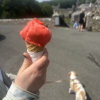 Blood orange sorbet   at Nook in Haverfordwest