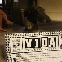 Carta at Vida Cafe in Barcelona