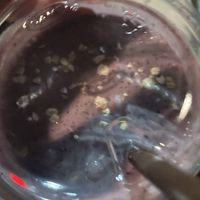 Mrs. Robinson  at The Walrus in Jacksonville