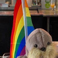  at The Walrus in Jacksonville