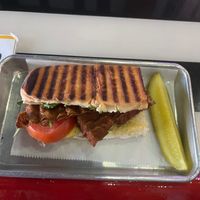 Lonely Hearts Club Sammie at The Walrus in Jacksonville