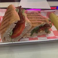 Lonely Hearts Club  at The Walrus in Jacksonville