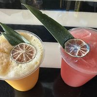 Sunshine Superman and The WAP  at The Walrus in Jacksonville