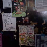 Posters at The Walrus in Jacksonville