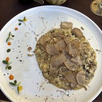 Truffle risotto (vegan)  at Konoba Mondo in Motovun