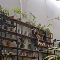  at Fifi Almacén in Buenos Aires