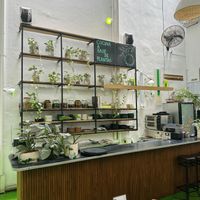   at Fifi Almacén in Buenos Aires