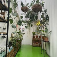   at Fifi Almacén in Buenos Aires