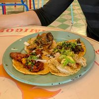 Pastor and pescado in the front = my favorites  at Groovy's Taqueria Vegana in Mexico City