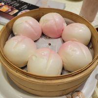 Lotus buns at Gaia Veggie Shop - Miramar Shopping Centre in Kowloon