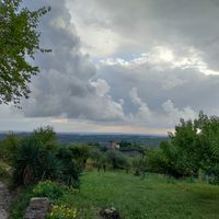 The view from the hill at Agro-Millo in Buje