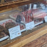  at Pinocchio in Montreal